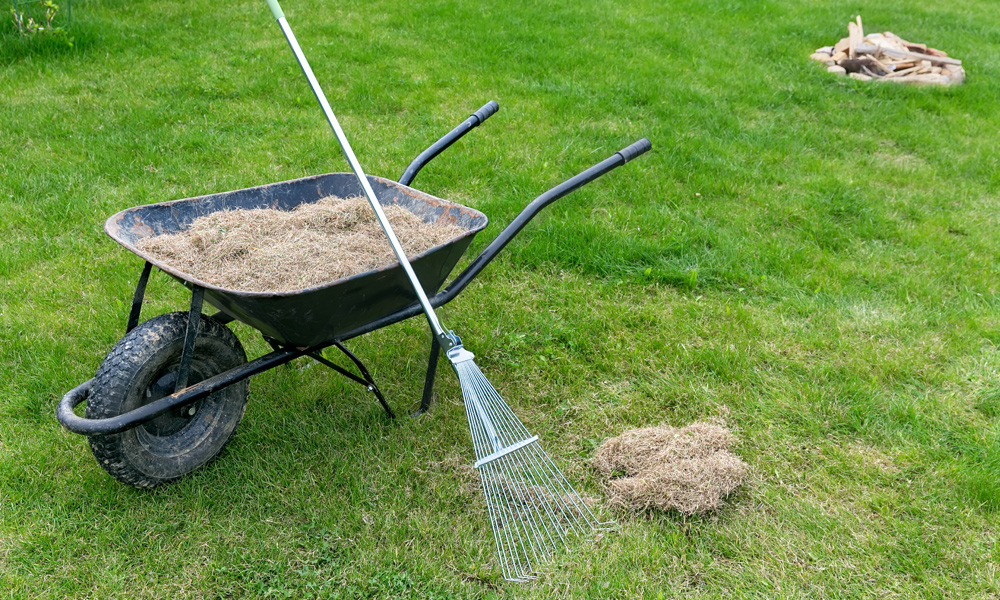 wheelbarrow with a rake next to it