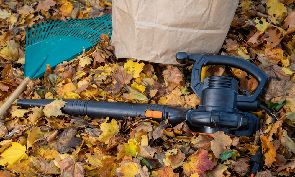 leaf blower laying in leaves