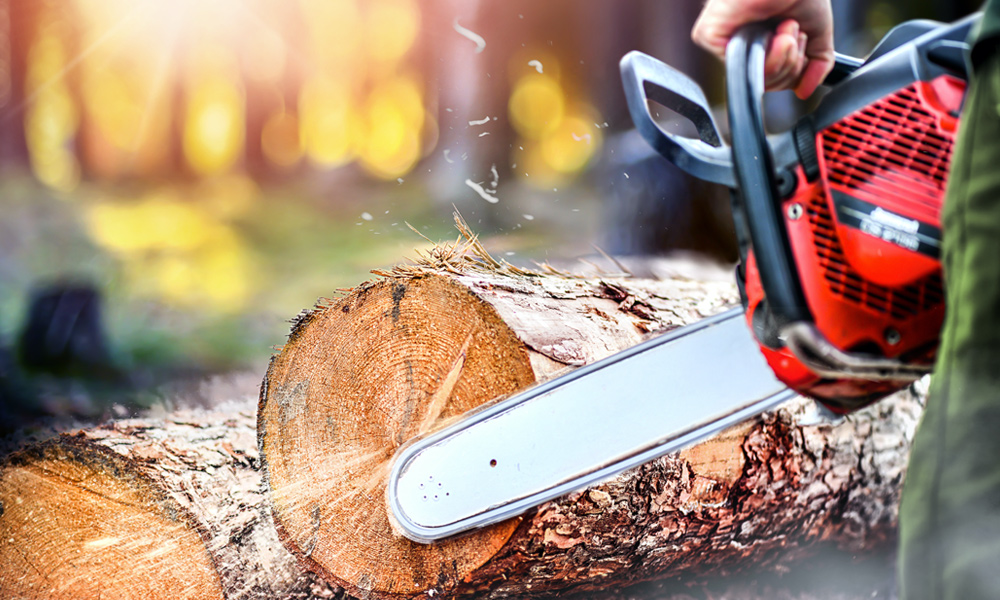chainsaw shaving down a tree log