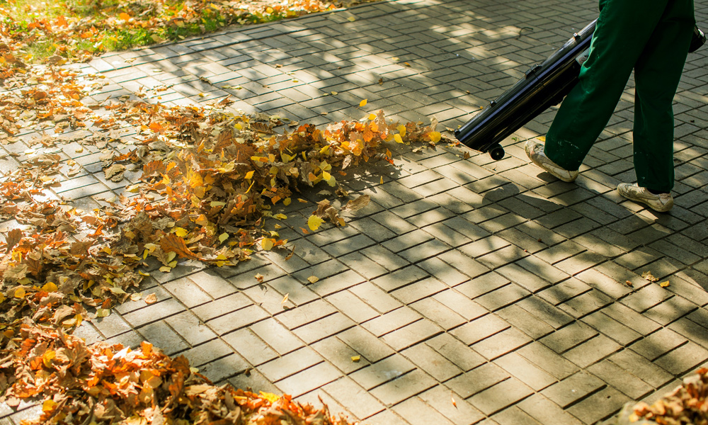 Leaf blower clearing a path of leaves